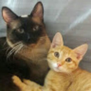 Meet your Posher, Vilma